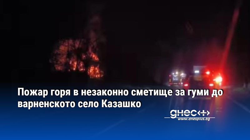 Пожар горя в незаконно сметище за гуми до варненското село Казашко