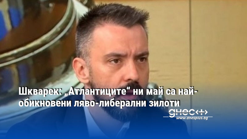 Шкварек: „Атлантиците“ ни май са най-обикновени ляво-либерални зилоти