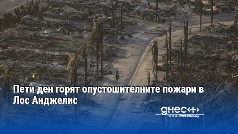 Пети ден горят опустошителните пожари в Лос Анджелис