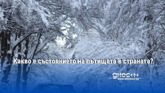 Агенция Пътна инфраструктура АПИ даде актуална информация за състоянието на