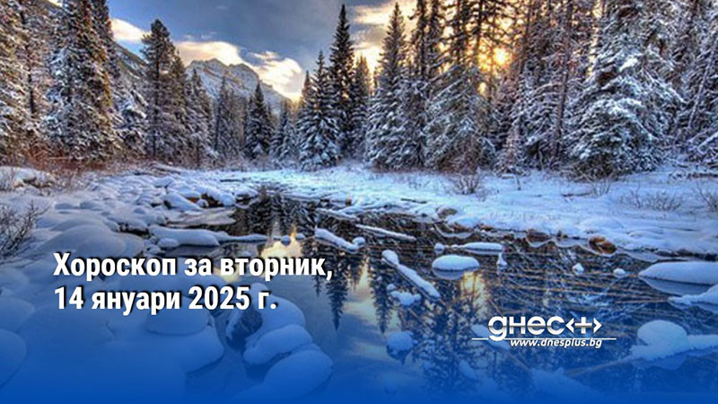 Хороскоп за вторник, 14 януари 2025 г.