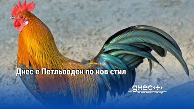 Днес е Петльовден по нов стил