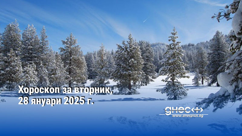 Хороскоп за вторник, 28 януари 2025 г.