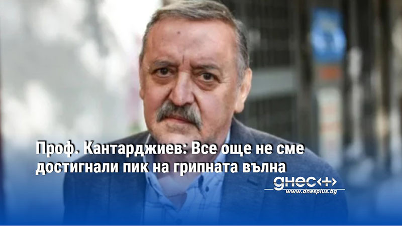 Проф. Кантарджиев: Все още не сме достигнали пик на грипната вълна