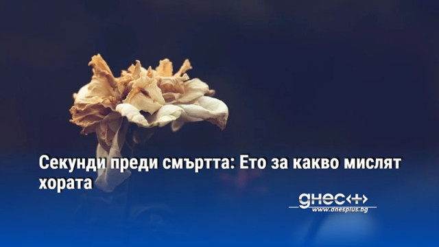 Секунди преди смъртта: Ето за какво мислят хората