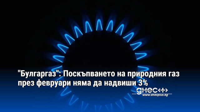 "Булгаргаз": Поскъпването на природния газ през февруари няма да надвиши 3%