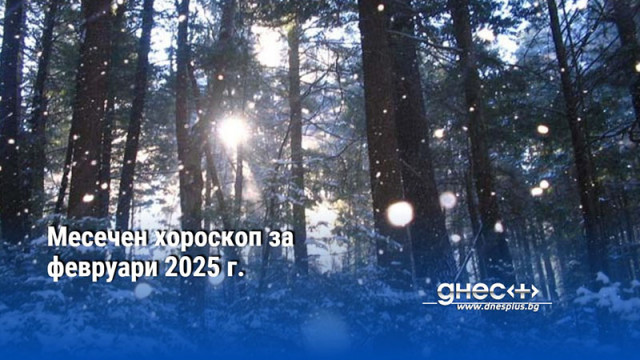 Месечен хороскоп за февруари 2025 г.