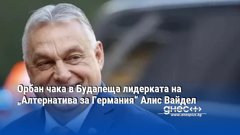 Орбан чака в Будапеща лидерката на „Алтернатива за Германия“ Алис Вайдел