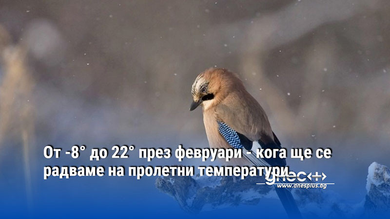 От -8° до 22° през февруари - кога ще се радваме на пролетни температури