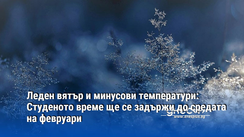 Леден вятър и минусови температури: Студеното време ще се задържи до средата на февруари