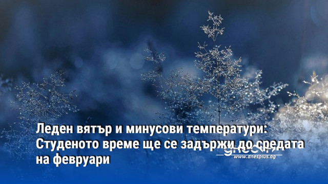 Февруари продължава със студено време В следващите дни от североизток