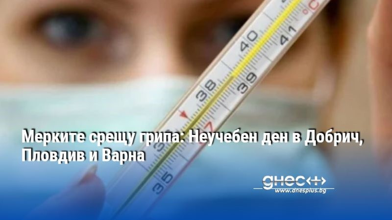 Мерките срещу грипа: Неучебен ден в Добрич, Пловдив и Варна