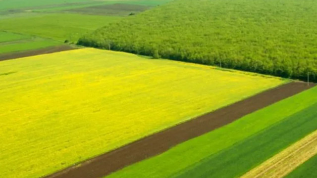 Земеделската земя в България е по скъпа отколкото във Франция