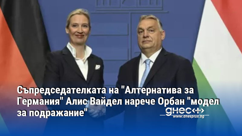 Съпредседателката на "Алтернатива за Германия" Алис Вайдел нарече Орбан "модел за подражание"