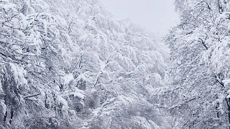 Какво е състоянието на пътищата в страната?