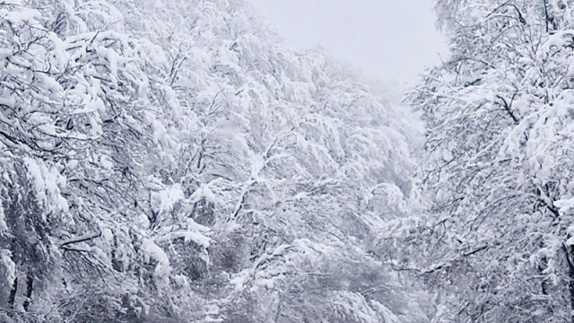 Какво е състоянието на пътищата в страната?
