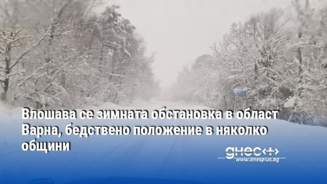 Влошава се зимната обстановка в област Варна, бедствено положение в няколко общини