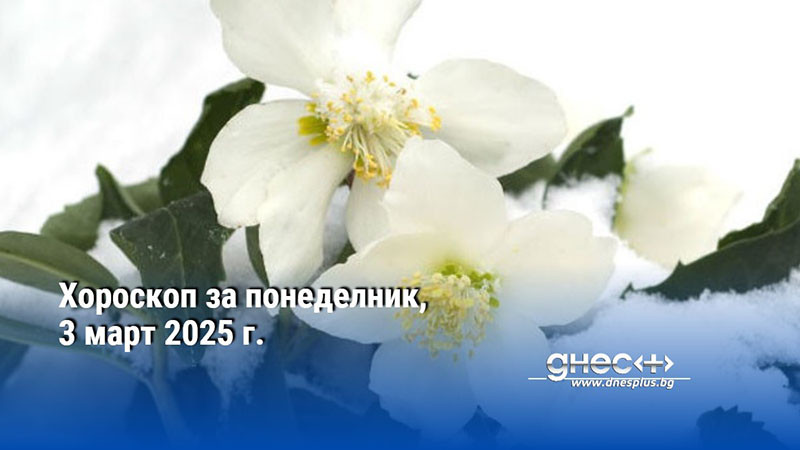 Хороскоп за понеделник, 3 март 2025 г.