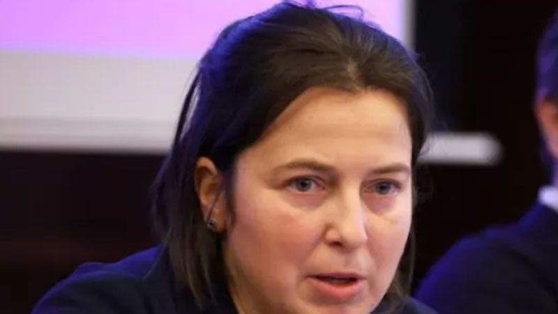 Експерт призовава да се огласят резултатите от преизчисленията на вота