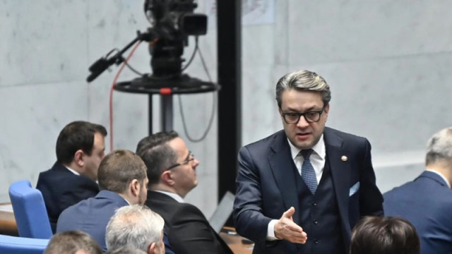 Боряна Димитрова: Правителството ще го бъде в следващите 6 до 7 месеца