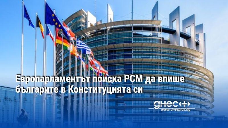 Европарламентът поиска РСМ да впише българите в Конституцията си