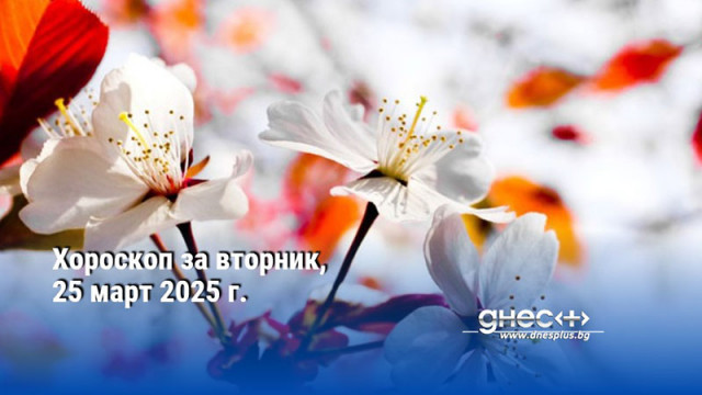 Хороскоп за вторник, 25 март 2025 г.