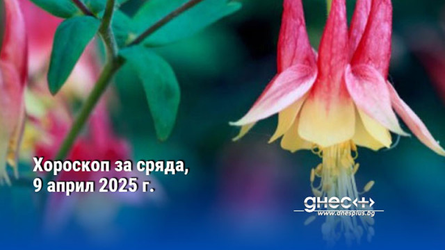 Хороскоп за сряда, 9 април 2025 г.