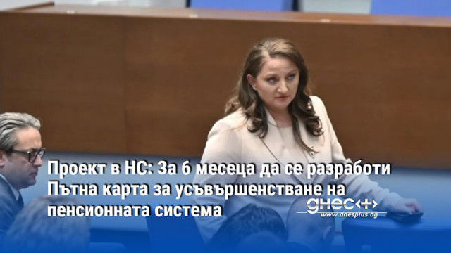Проект в НС: За 6 месеца да се разработи Пътна карта за усъвършенстване на пенсионната система