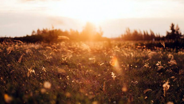 Слънчев календар – петък, 29.05.20