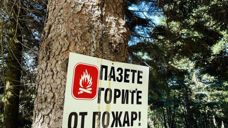 Напълно овладян е горският пожар в Кюстендилско