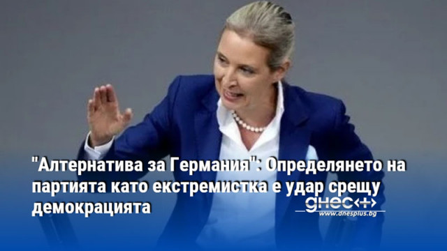 "Алтернатива за Германия": Определянето на партията като екстремистка е удар срещу демокрацията