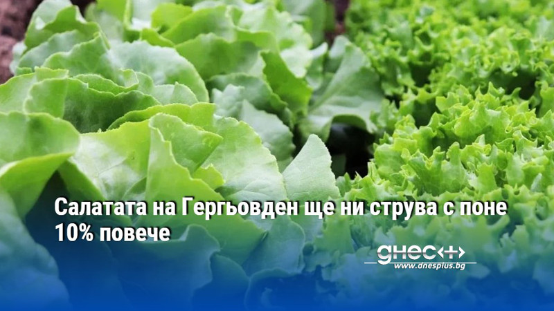 Салатата на Гергьовден ще ни струва с поне 10% повече