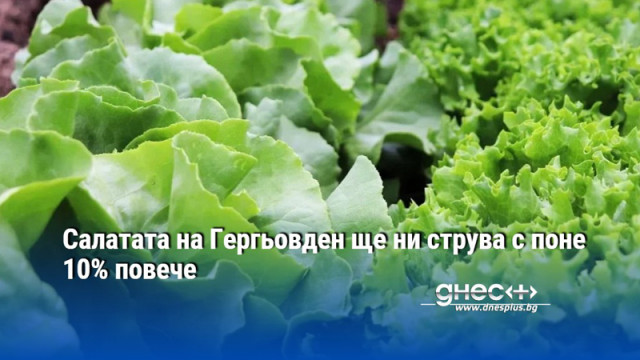 Салатата на Гергьовден ще ни струва с поне 10% повече