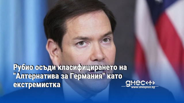 Рубио осъди класифицирането на "Алтернатива за Германия" като екстремистка