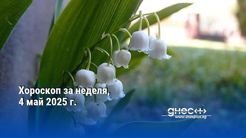 Хороскоп за неделя, 4 май 2025 г.