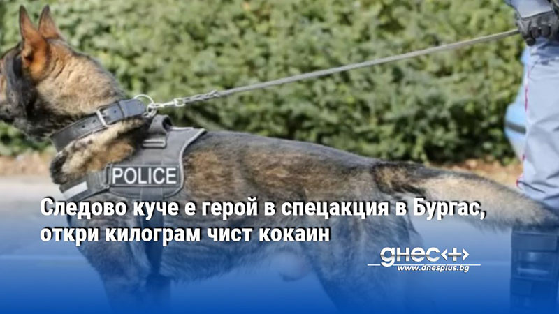 Следово куче е герой в спецакция в Бургас, откри килограм чист кокаин