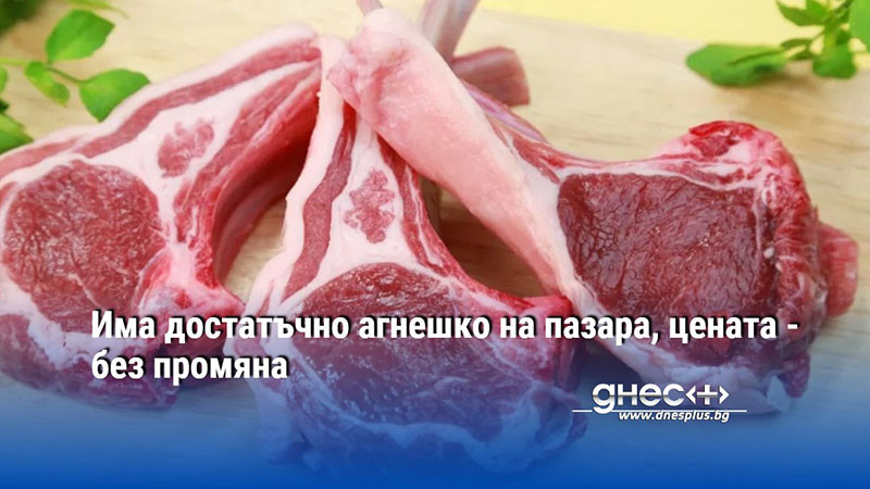 Има достатъчно агнешко на пазара, цената - без промяна