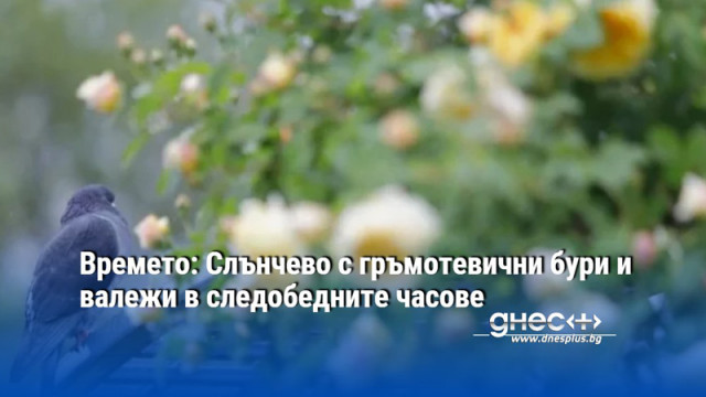Времето: Слънчево с гръмотевични бури и валежи в следобедните часове
