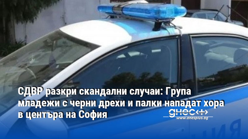 СДВР разкри скандални случаи: Група младежи с черни дрехи и палки нападат хора в центъра на София