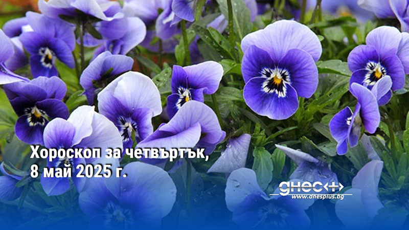 Хороскоп за четвъртък, 8 май 2025 г.