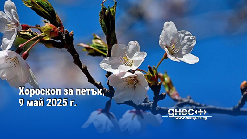Хороскоп за петък, 9 май 2025 г.
