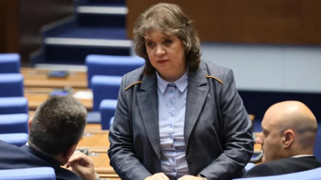 Киселова: Радев не е внесъл предложение за референдум