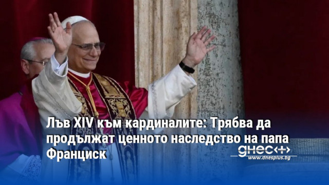 Лъв XIV към кардиналите: Трябва да продължат ценното наследство на папа Франциск