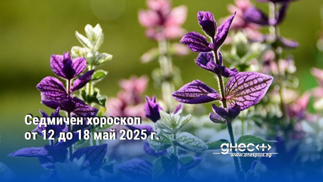 Седмичен хороскоп от 12 до 18 май 2025 г.