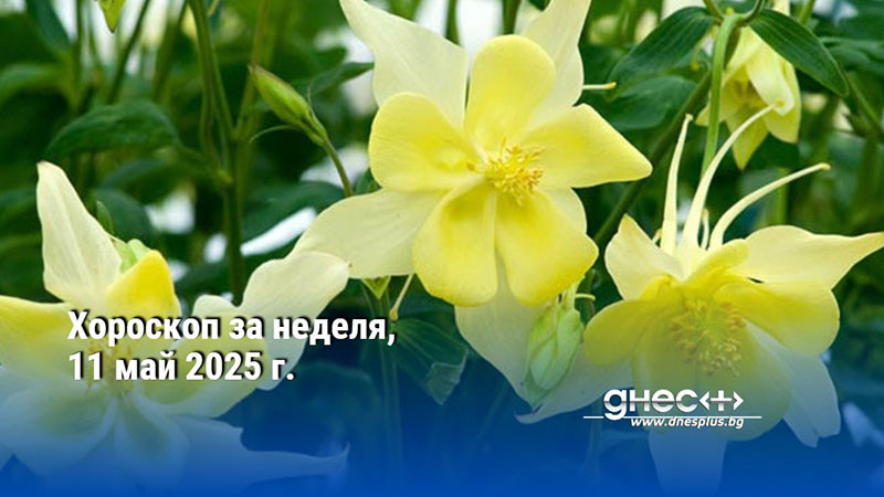 Хороскоп за неделя, 11 май 2025 г.