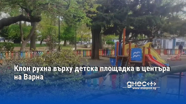 Клон рухна върху детска площадка в центъра на Варна