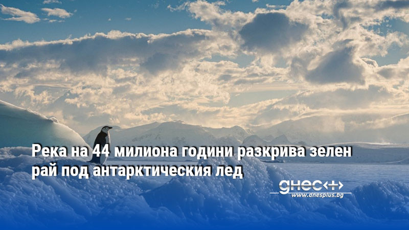 Река на 44 милиона години разкрива зелен рай под антарктическия лед
