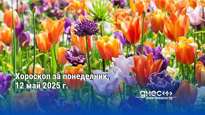 Хороскоп за понеделник, 12 май 2025 г.