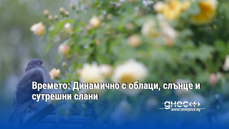 Времето: Динамично с облаци, слънце и сутрешни слани