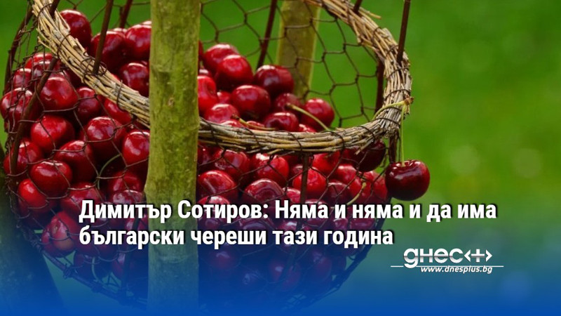 Димитър Сотиров: Няма и няма и да има български череши тази година
